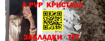 гашик Волжский