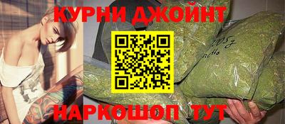 гашик Волжский