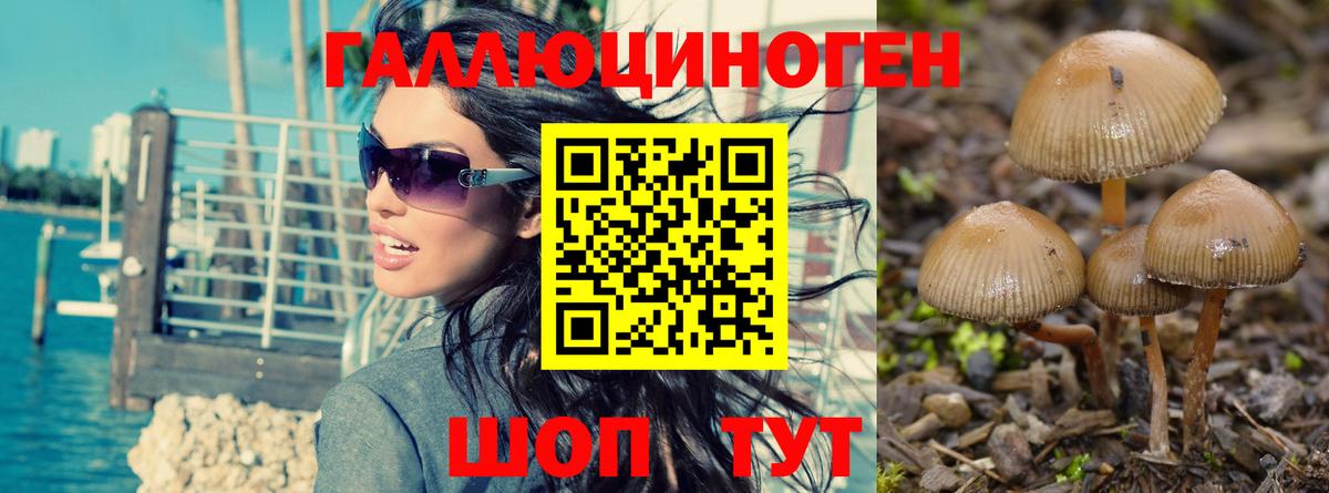 Галлюциногенные грибы Cubensis Киреевск